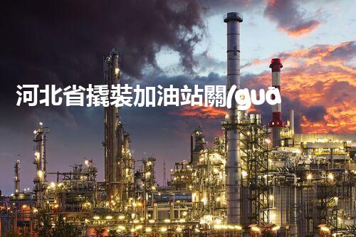 河北省撬裝加油站關(guān)鍵技術(shù)突破！化工廠拆除工程的新方法探索？